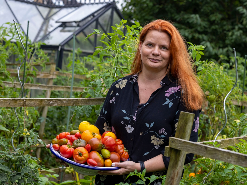 In Birgit Arndts Garten wachsen weit über 100 verschiedene Tomatensorten. - Foto: Christoph Reichwein/dpa