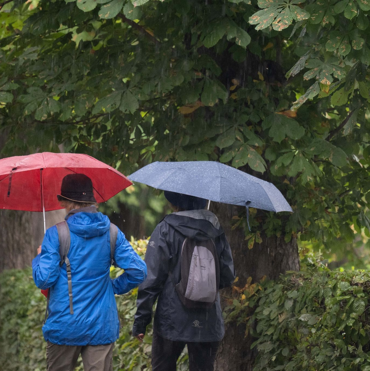 Das Ufer der Elbe ist teils ausgetrocknet. - Foto: Sebastian Kahnert/dpa
