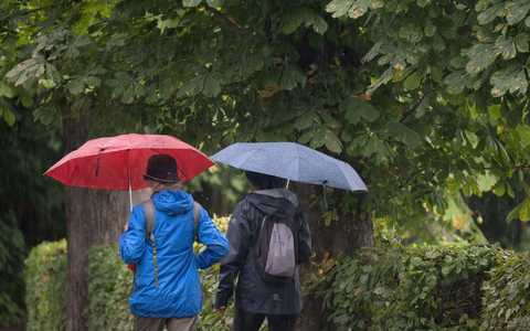 Das Ufer der Elbe ist teils ausgetrocknet. - Foto: Sebastian Kahnert/dpa