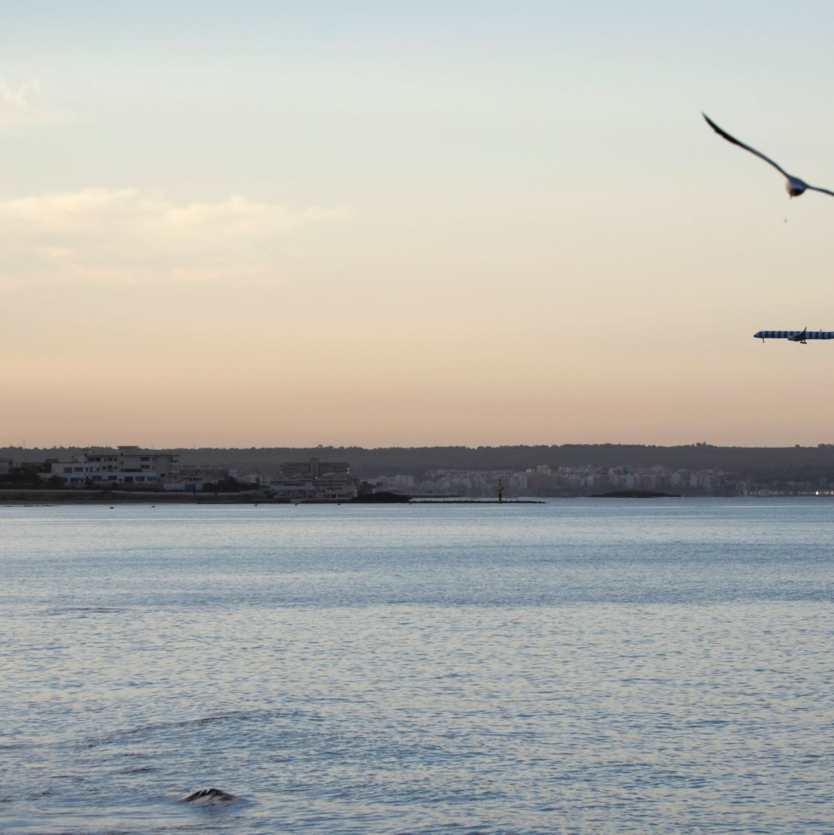 Das Mittelmeer vor der spanischen Urlaubsinsel Mallorca. Zwei deutsche Segler sind nach einem Unwetter als vermisst gemeldet worden. (Symbolbild) - Foto: Clara Margais/dpa
