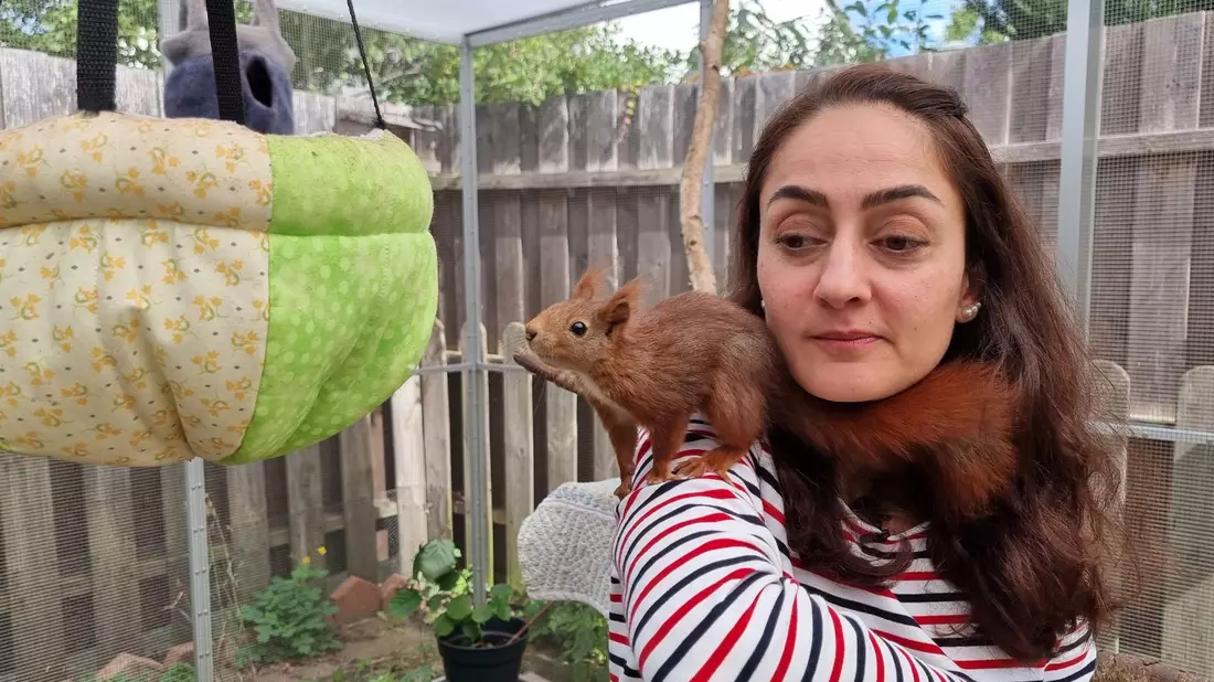 Tierschützerin Mona Gahrib hat ein Eichhörnchen auf der Schulter. - Bild: Fernando Martinez/TNN/dpa
