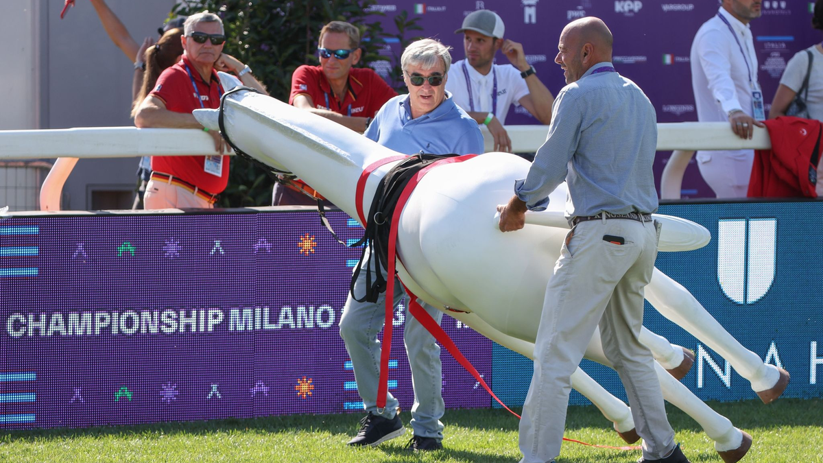 Zwei weiße Pferde im Parcours sorgten wenige Stunden vor dem Start der Reit-WM für Aufregung. - Foto: Friso Gentsch/dpa
