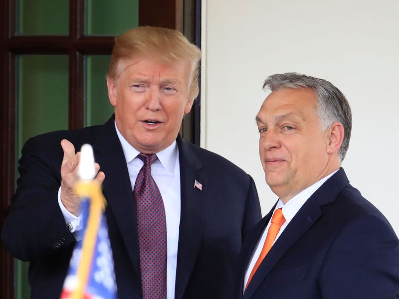 Zwei, die sich verstehen: Donald Trump und Viktor Orban. - Foto: Manuel Balce Ceneta/AP/dpa