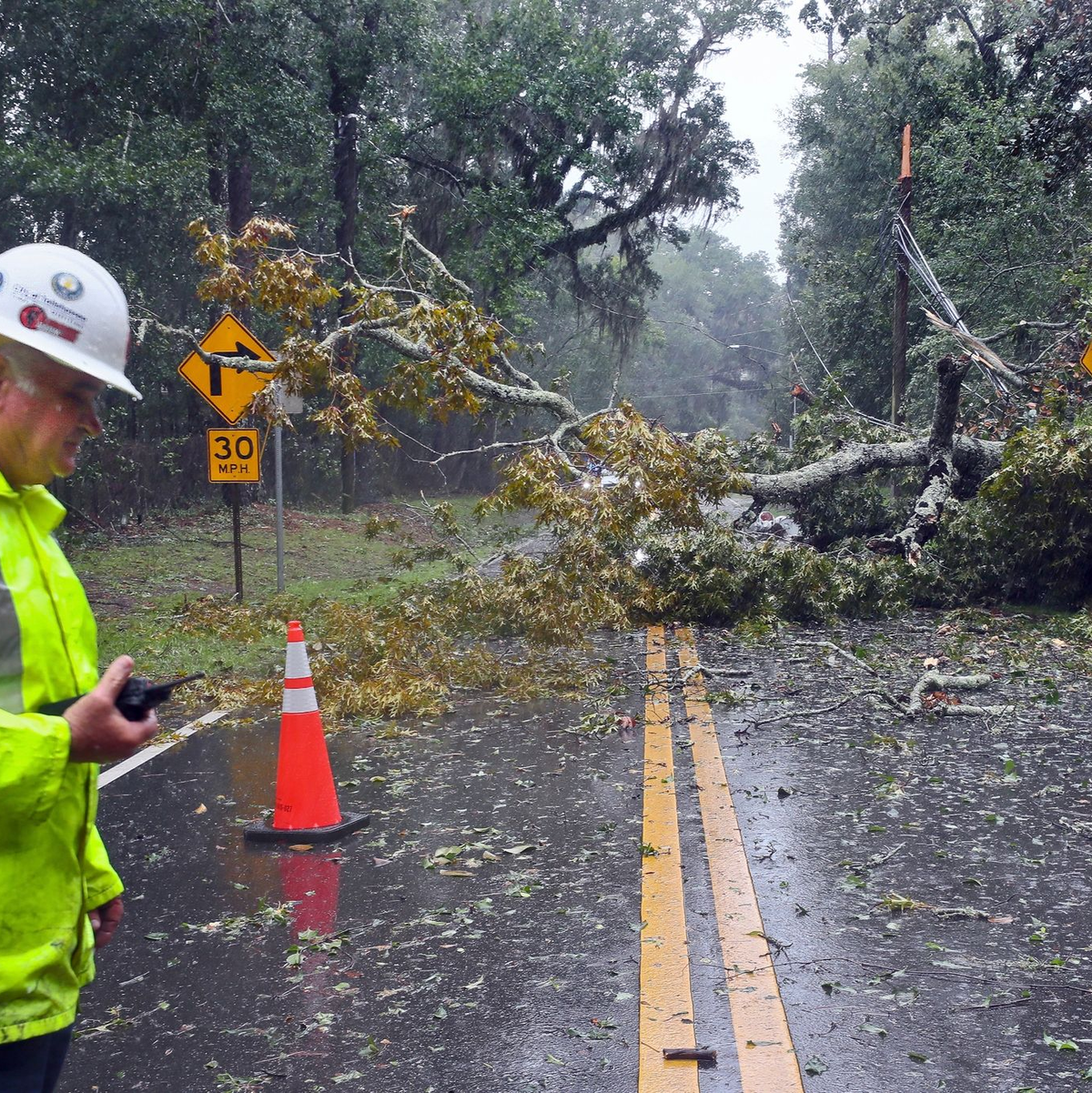 Ein Elektriker der Stadt Tallahassee begutachtet die Schäden an den Stromleitungen. - Foto: Phil Sears/AP/dpa