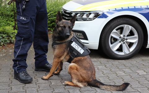 HZA-BI: Bielefelder Zoll stoppt Drogenfahrt auf A2/Fahrer unter Betäubungsmitteleinfluss - Beifahrer hatte Alkohol getrunken - Zollhündin Skadi im Einsatz - Foto: presseportal.de