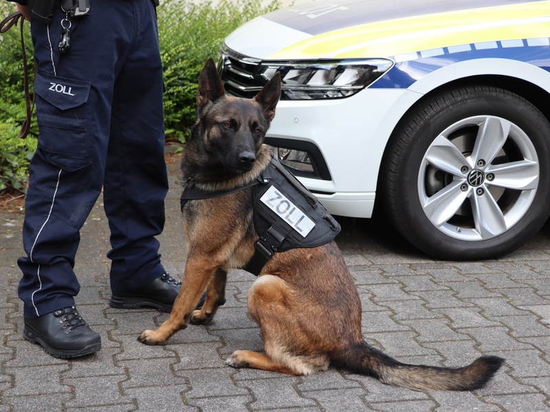 HZA-BI: Bielefelder Zoll stoppt Drogenfahrt auf A2/Fahrer unter Betäubungsmitteleinfluss - Beifahrer hatte Alkohol getrunken - Zollhündin Skadi im Einsatz - Foto: presseportal.de