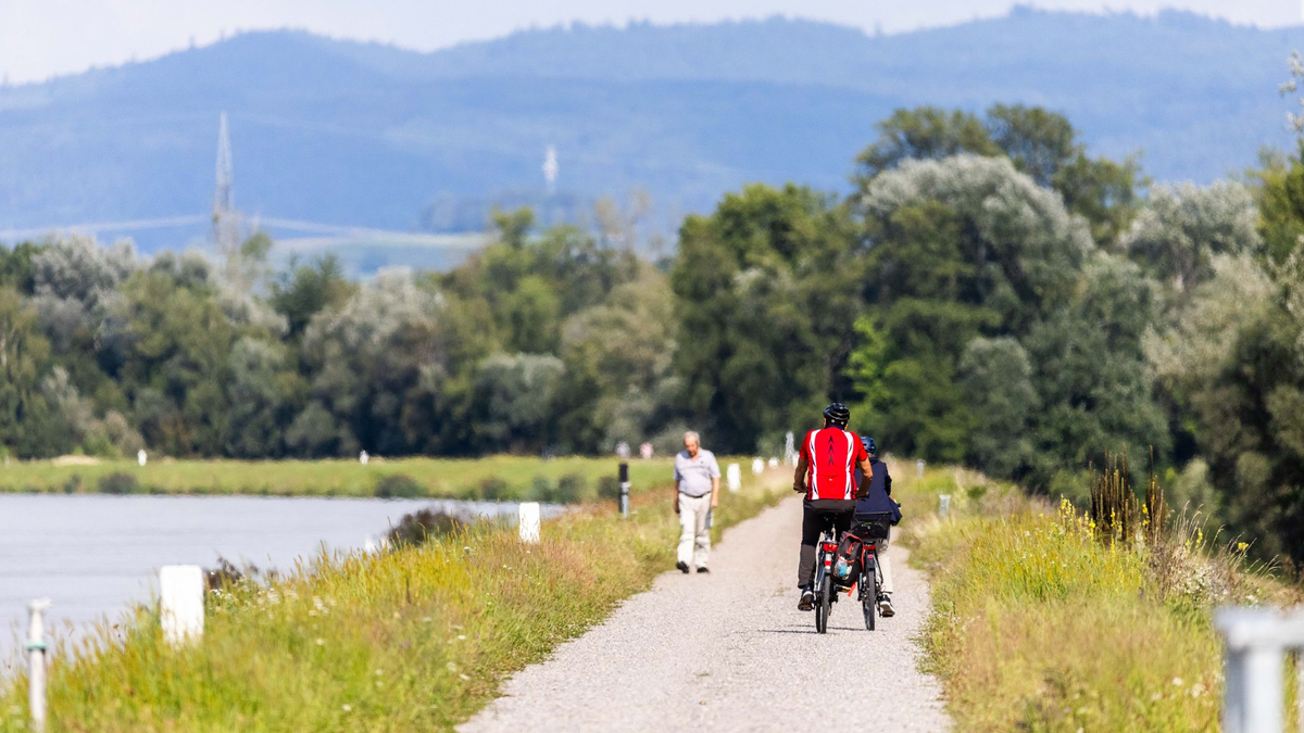 Zwei Radfahrer fahren neben dem Rhein auf einem Weg entlang. - Foto: Philipp von Ditfurth/dpa