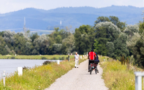 Zwei Radfahrer fahren neben dem Rhein auf einem Weg entlang. - Foto: Philipp von Ditfurth/dpa