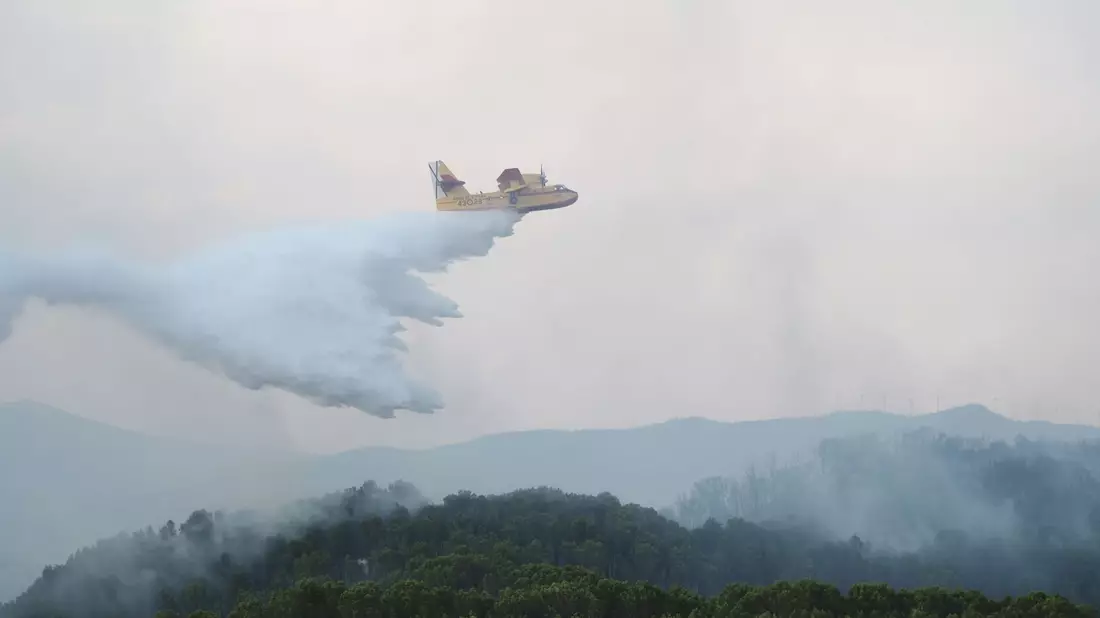 Ein Flugzeug der Luftwaffe versucht, ein Feuer in Spanien zu löschen. Verheerende Waldbrände zeigen laut NEF-Experte Sebastian Mang die Schwere der Klimakrise. - Bild: Eduardo Sanz/EUROPA PRESS/dpa