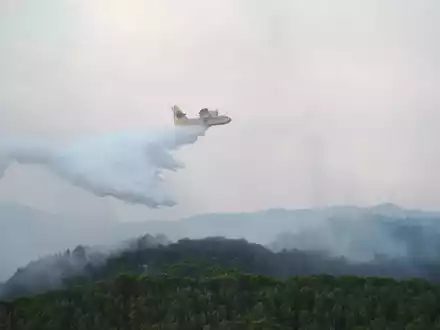 Ein Flugzeug der Luftwaffe versucht, ein Feuer in Spanien zu löschen. Verheerende Waldbrände zeigen laut NEF-Experte Sebastian Mang die Schwere der Klimakrise. - Foto: Eduardo Sanz/EUROPA PRESS/dpa