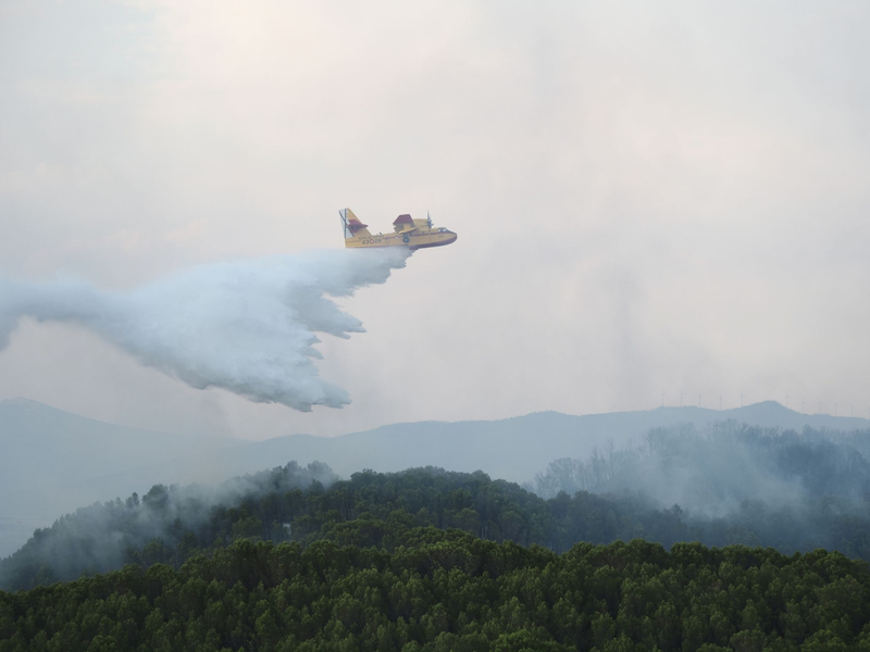 Ein Flugzeug der Luftwaffe versucht, ein Feuer in Spanien zu löschen. Verheerende Waldbrände zeigen laut NEF-Experte Sebastian Mang die Schwere der Klimakrise. - Foto: Eduardo Sanz/EUROPA PRESS/dpa