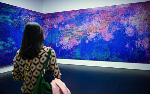 Die wandfüllenden Werke stellen etwa  Claude Monets Wasserlilien (Beginn 20. Jahrhundert) nach. - Foto: Britta Pedersen/dpa