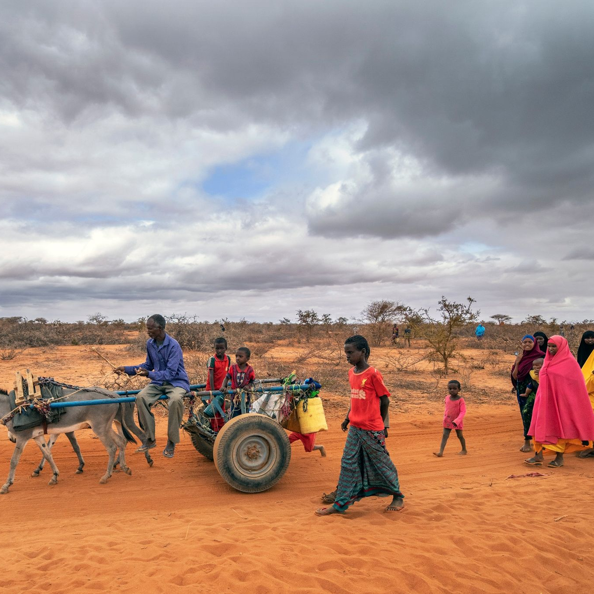Menschen kommen im somalisch-äthiopischen Grenzgebiet in einem Vertriebenenlager an - sie wurden wegen der Dürre aus ihren angestammten Regionen vertrieben. - Foto: Jerome Delay/AP/dpa