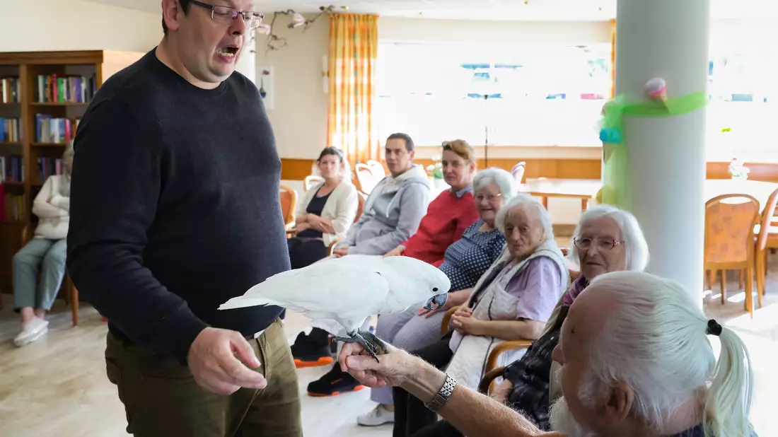 Tiertrainer André Weseloh (l), der mit seinen Schützlingen regelmäßig Senioreneinrichtungen besucht, hat auch Weißhauben-Kakadu Sammy nach Barsbüttel mitgebracht. - Bild: Ulrich Perrey/dpa