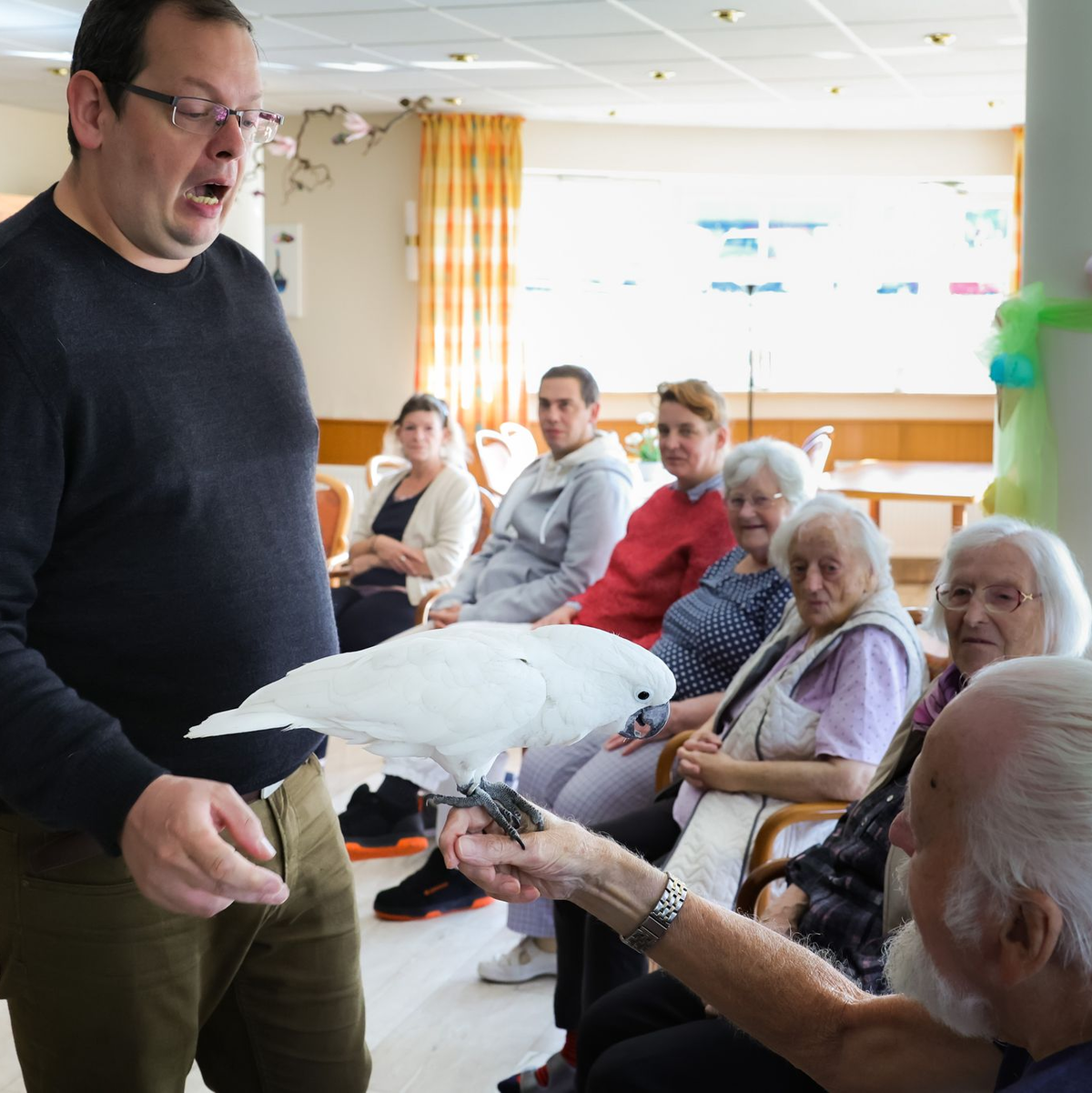 Tiertrainer André Weseloh (l), der mit seinen Schützlingen regelmäßig Senioreneinrichtungen besucht, hat auch Weißhauben-Kakadu Sammy nach Barsbüttel mitgebracht. - Foto: Ulrich Perrey/dpa