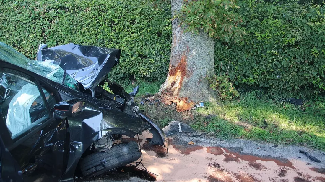 POL-COE: Lüdinghausen, Seppenrade, Tetekum/ Autos kollidieren - Bild: presseportal.de