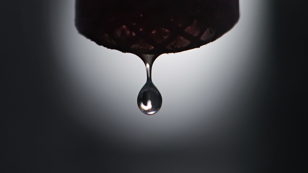 «Die EU muss eine zukunftsfähige Wasser- und Klimaanpassungsagenda vorantreiben.» - Foto: Sebastian Gollnow/dpa