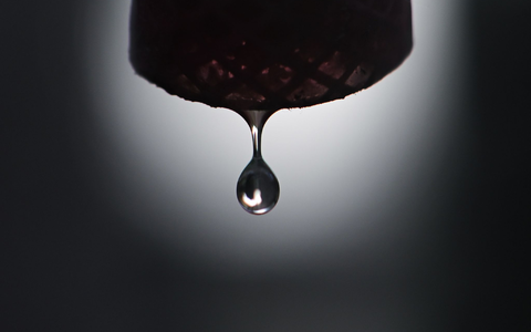 «Die EU muss eine zukunftsfähige Wasser- und Klimaanpassungsagenda vorantreiben.» - Foto: Sebastian Gollnow/dpa