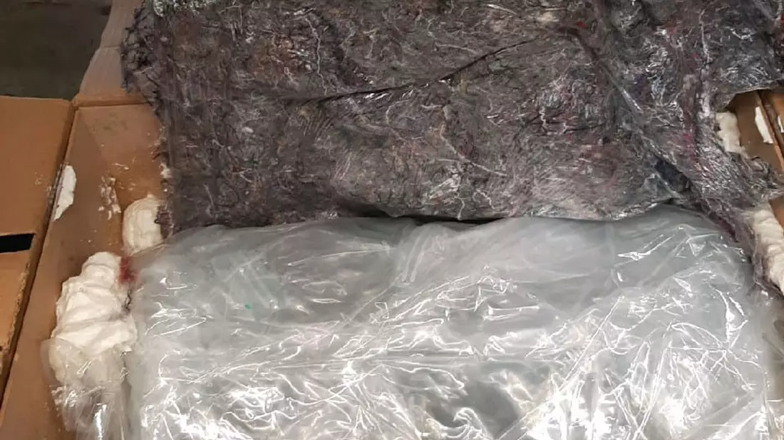Marihuana in mehreren Folienschichten verpackt. Der Zoll in Heilbronn hat es gefunden. - Bild: -/Hauptzollamt Heilbronn/dpa