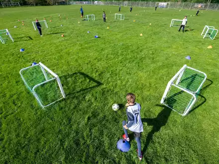 Die geplante Nachwuchsreform im Deutschen Fußball-Bund stößt auf teils heftige Kritik. - Foto: Robert Michael/dpa-Zentralbild/dpa