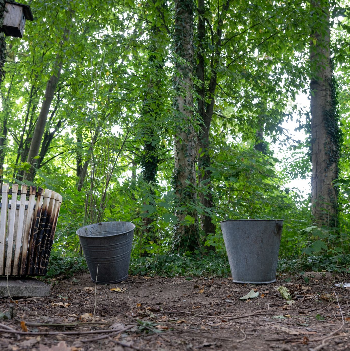 Kerzen und Blumen sind vor einem Seiteneingang des Schulzentrums in Lohr am Main abgelegt worden. - Foto: Pia Bayer/dpa