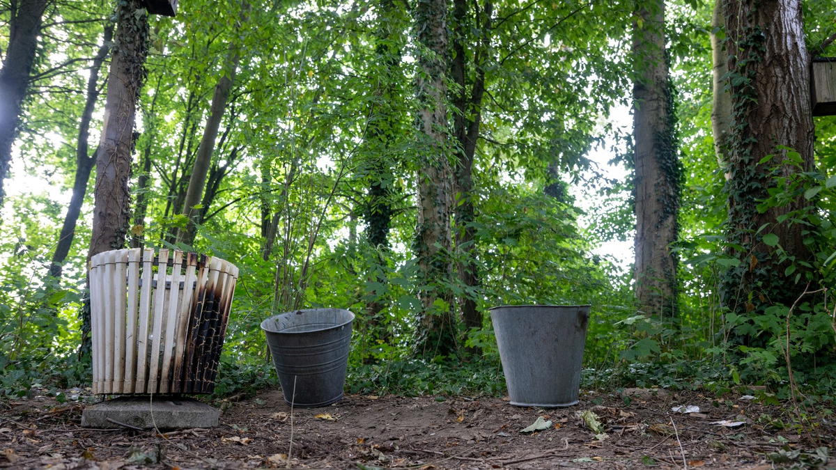Zwischen den Bäumen gegenüber eines Seiteneingangs eines Schulzentrums in Lohr am Main ist ein toter Jugendlicher gefunden worden. - Foto: Pia Bayer/dpa