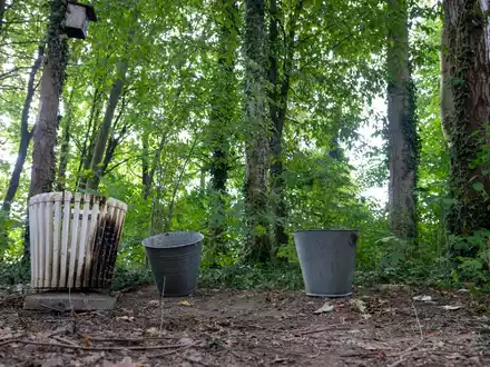 Kerzen und Blumen sind vor einem Seiteneingang des Schulzentrums in Lohr am Main abgelegt worden. - Foto: Pia Bayer/dpa