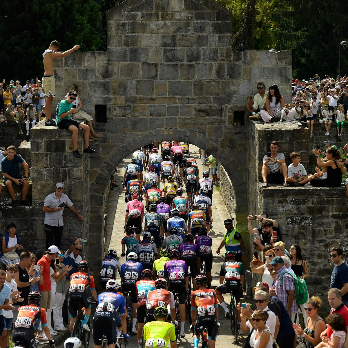 Das Fahrerfeld der Vuelta auf der Etappe. - Foto: Alvaro Barrientos/AP/dpa