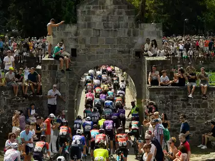 Das Fahrerfeld der Vuelta auf der Etappe. - Foto: Alvaro Barrientos/AP/dpa
