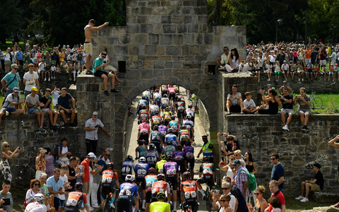 Das Fahrerfeld der Vuelta auf der Etappe. - Foto: Alvaro Barrientos/AP/dpa