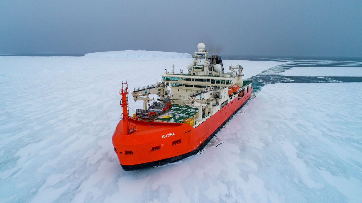 Hat die erkrankte Person erfolgreich evakuieren können: der australische Eisbrecher «RSV Nuyina». - Foto: Pete Harmsen/Australian Antarctic Division/dpa