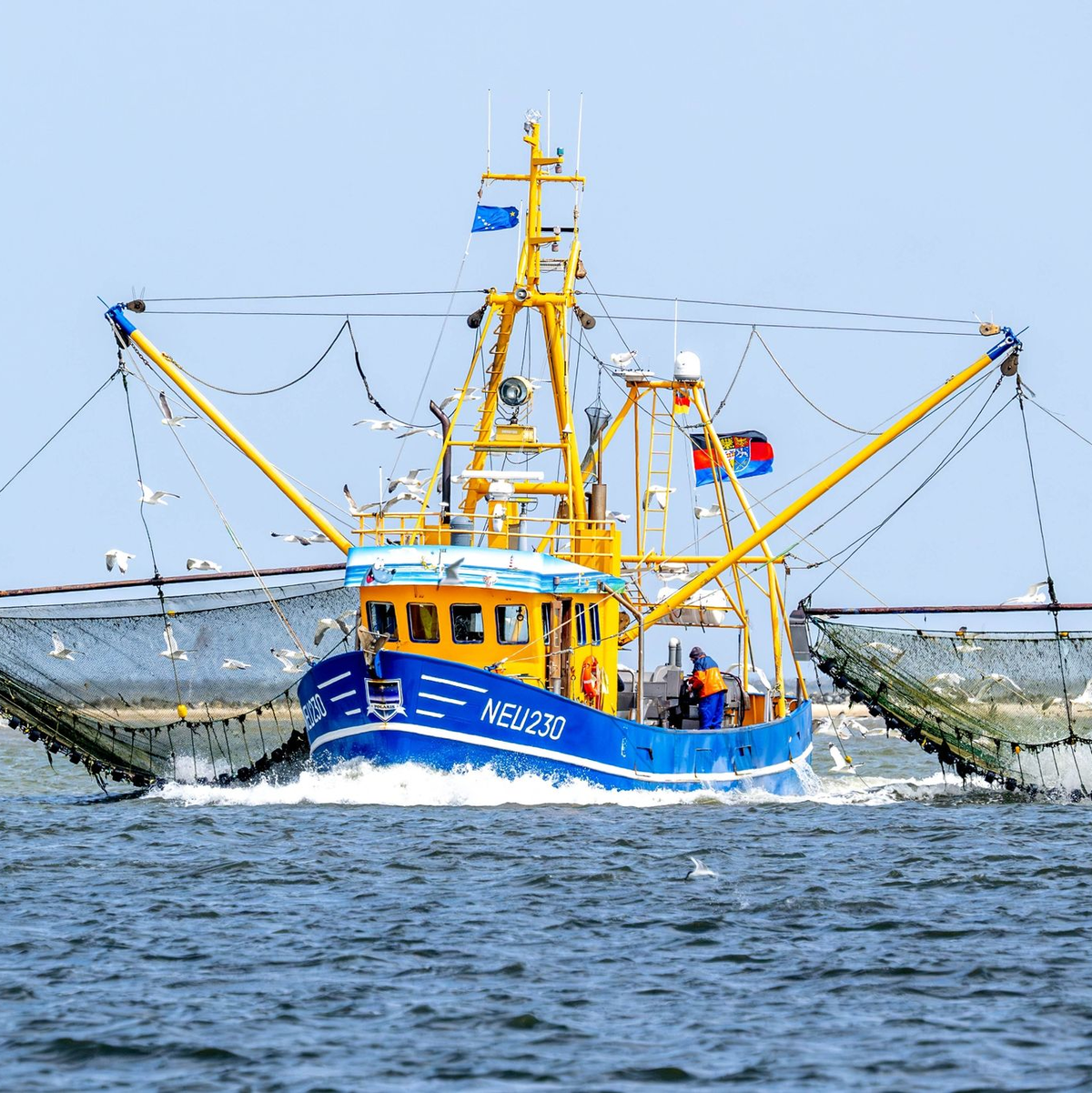 Der Verband der Deutschen Kutter- und Küstenfischer ist vor Gericht gescheitert. - Foto: Sina Schuldt/dpa