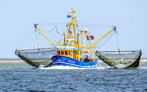 Der Verband der Deutschen Kutter- und Küstenfischer ist vor Gericht gescheitert. - Foto: Sina Schuldt/dpa