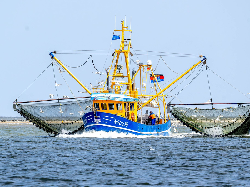 Der Verband der Deutschen Kutter- und Küstenfischer ist vor Gericht gescheitert. - Foto: Sina Schuldt/dpa