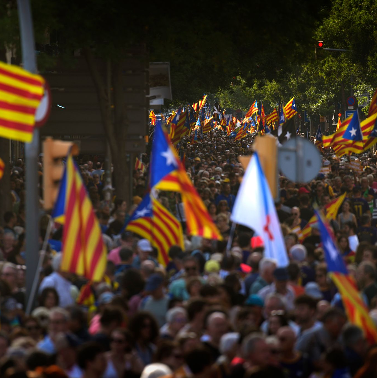 Menschen schwenken in Barcelona Unabhängigkeitsflaggen bei einer Kundgebung für die Abspaltung Kataloniens von Spanien. - Foto: Emilio Morenatti/AP/dpa
