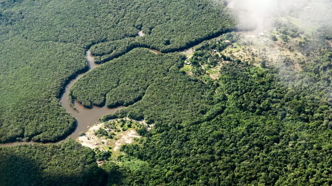 Das Amazonasgebiet um Manaus in Brasilien. Vor allem Aktivisten, die sich gegen die Agrarindustrie, Bergbau und Holzfällerei einsetzen, leben gefährlich. - Bild: Jens Büttner/dpa