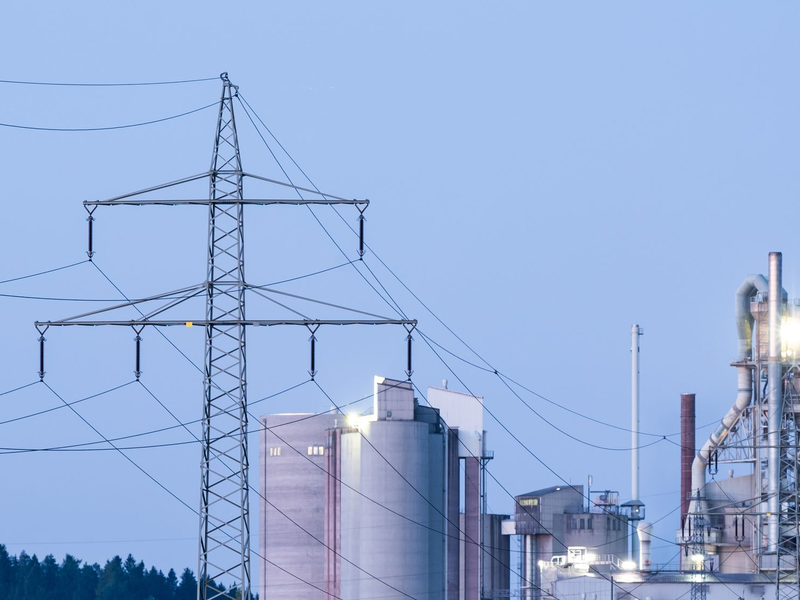 Ökonomen sehen die geplanten Maßnahmen zur Senkung der Industriestrompreise der SPD kritisch. - Foto: Silas Stein/dpa
