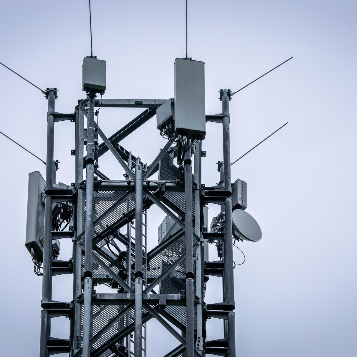 Dank besserer Mobilfunkantennen sollen Autofahrer bald störungsfreier unterwegs telefonieren können. - Foto: Jens Büttner/dpa