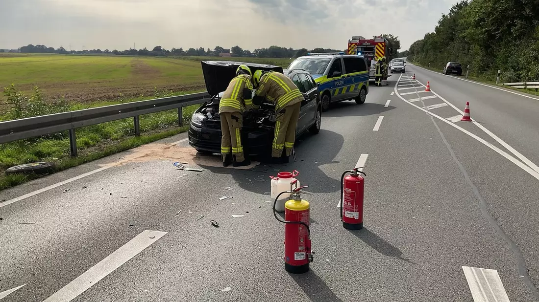 FW-BO: Tretbootschwäne auf Abwegen - Ungewöhnlicher Hilfeleistungseinsatz von Feuerwehr und DLRG auf der Ruhr in Dahlhausen - Bild: presseportal.de
