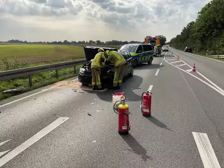 FW-BO: Tretbootschwäne auf Abwegen - Ungewöhnlicher Hilfeleistungseinsatz von Feuerwehr und DLRG auf der Ruhr in Dahlhausen - Foto: presseportal.de