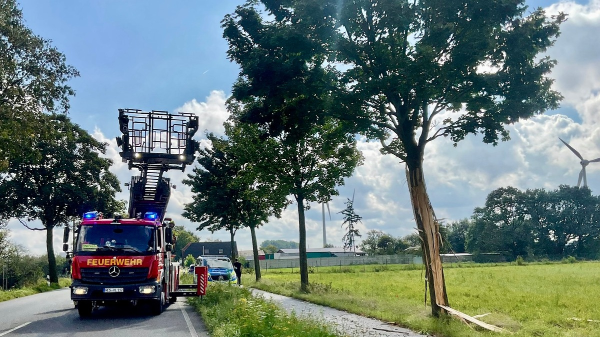 FW Alpen: Sturmschaden - Foto: presseportal.de