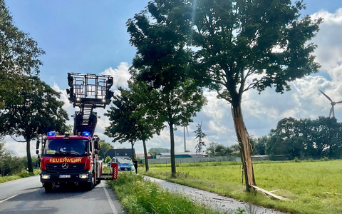 FW Alpen: Sturmschaden - Foto: presseportal.de