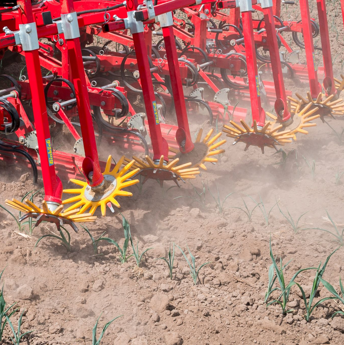 Die Landwirtschaftlichen Lehranstalten Bayreuth und die Maschinenringe Oberfranken stellen mechanische Hacktechnik als Alternative zu Kunstdünger und chemischer Unkrautbekämpfung vor. - Foto: Daniel Vogl/dpa