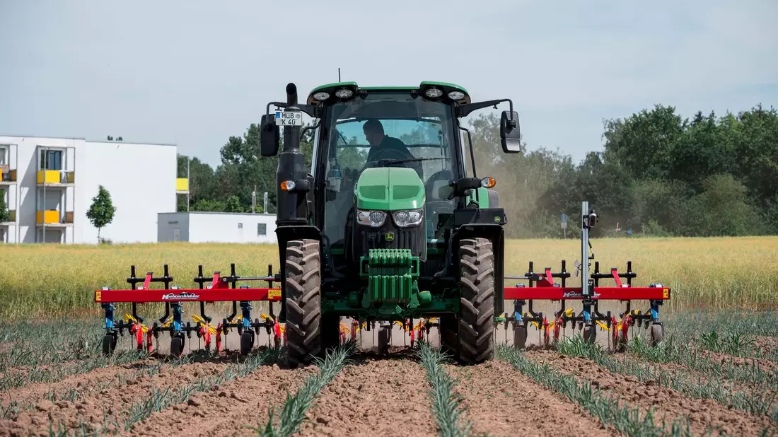 Dünger ist teuer - und darf im Ökolandbau sowieso nicht eingesetzt werden. Stattdessen kommen mechanische Alternativen zum Einsatz. - Bild: Daniel Vogl/dpa