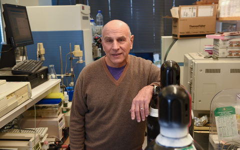 Dennis L. Kasper ist Arzt und Immunologe an der Harvard Medical School. Der US-amerikanische Immunologe wird mit dem Paul Ehrlich- und Ludwig Darmstaedter-Preis 2024 geehrt. - Foto: Richard Groleau/Harvard Medical School/dpa