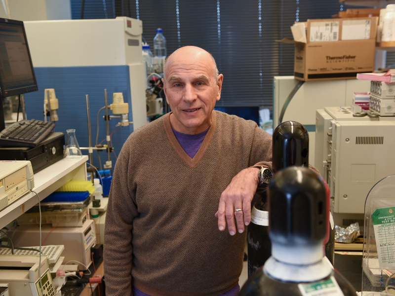 Dennis L. Kasper ist Arzt und Immunologe an der Harvard Medical School. Der US-amerikanische Immunologe wird mit dem Paul Ehrlich- und Ludwig Darmstaedter-Preis 2024 geehrt. - Foto: Richard Groleau/Harvard Medical School/dpa