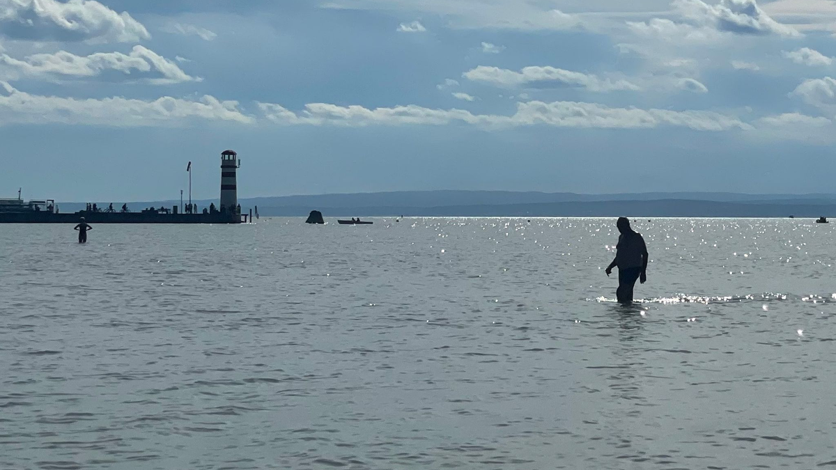 Donauwasser soll den Neusiedler See in Österreich retten. - Foto: Matthias Röder/dpa