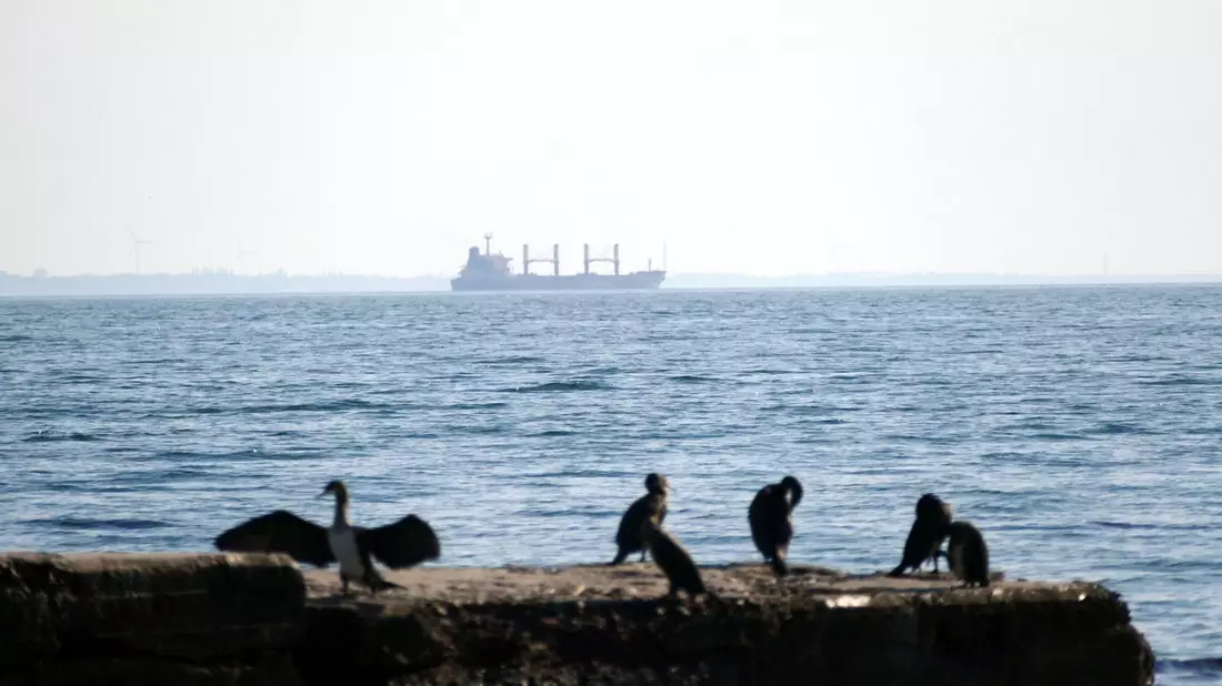 Blick auf das Schwarze Meer vom Hafen in Odessa. (Symbolbild) - Bild: Uncredited/Ukrinform/dpa