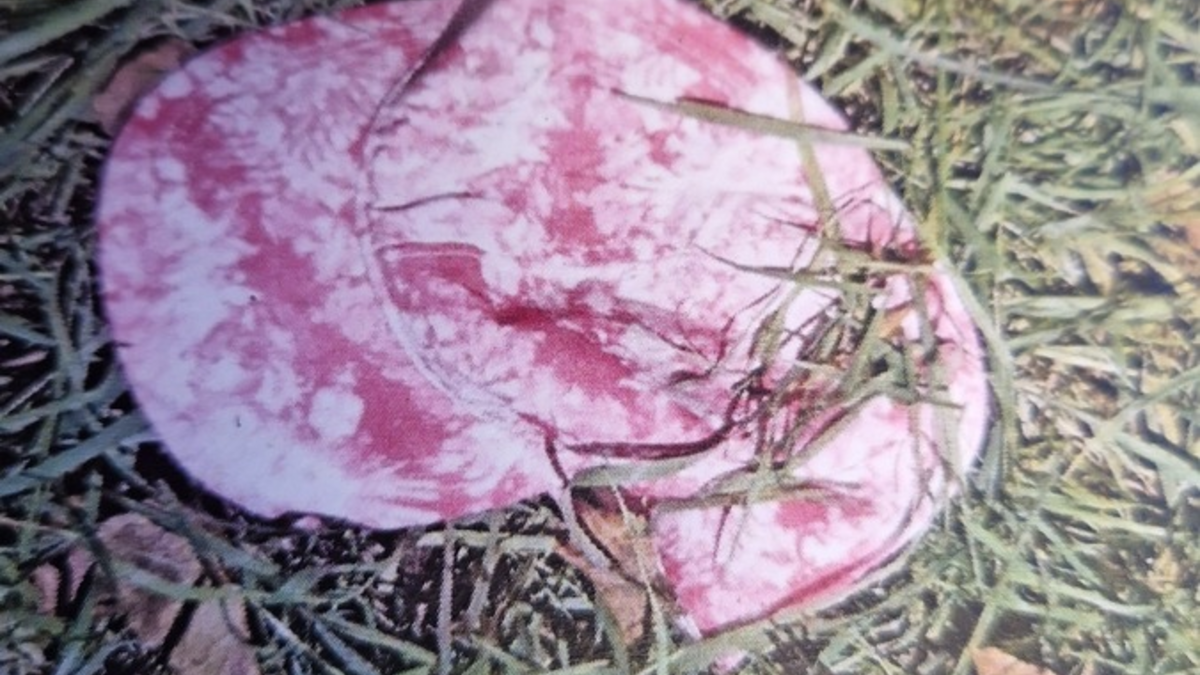 POL-PDWIL: Sichergestellte Gegenstände nach Diebstählen aus PKW - Eigentümer gesucht - Foto: presseportal.de