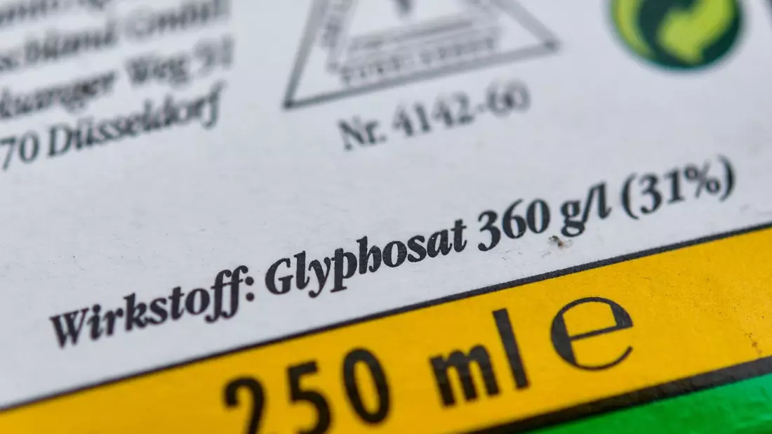 Eine mögliche Verlängerung der Zulassung von Glyphosat in der EU stößt auf geteilte Ansichten. - Bild: Patrick Pleul/dpa-Zentralbild/dpa